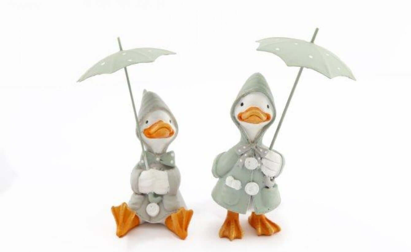 Pair of Ducks in Raincoats with Umbrellas