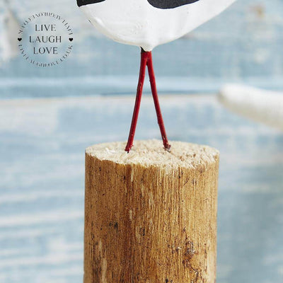 Pair of Oyster Catchers - LIVE LAUGH LOVE LIMITED