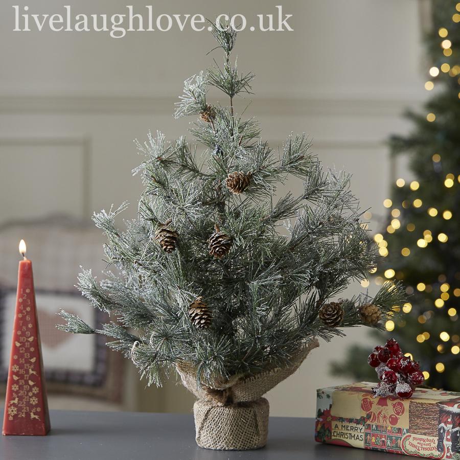 Pine Tree With Sparkles - LIVE LAUGH LOVE LIMITED