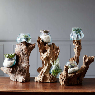 Natural Driftwood Interiors