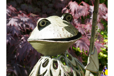 Metal Frog Bird Feeder Garden Ornament – Whimsical Outdoor Décor
