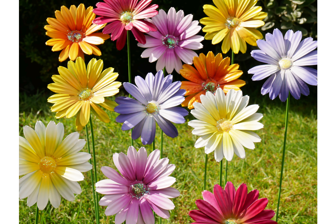 Set of 6 Metal Flower Garden Stakes – Colourful Garden Decorations