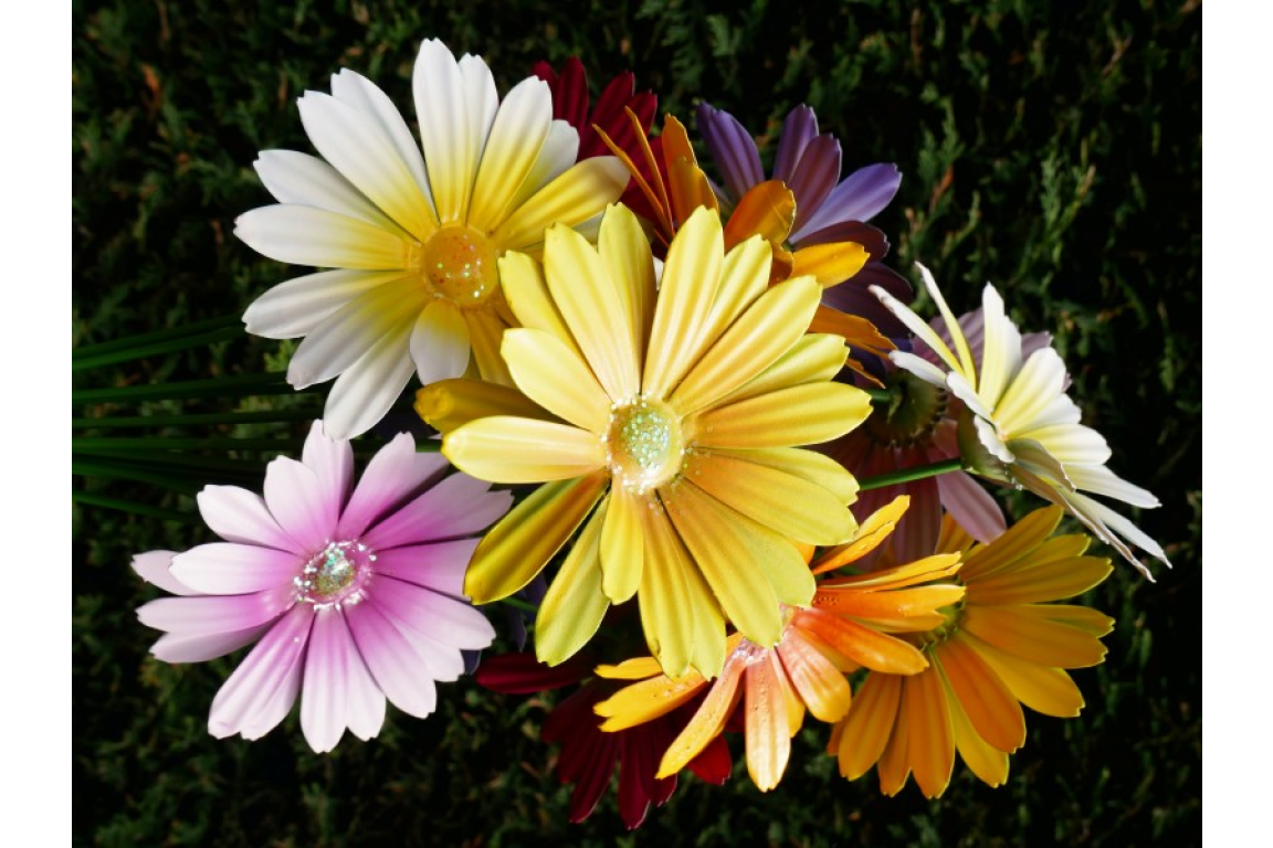 Set of 6 Metal Flower Garden Stakes – Colourful Garden Decorations