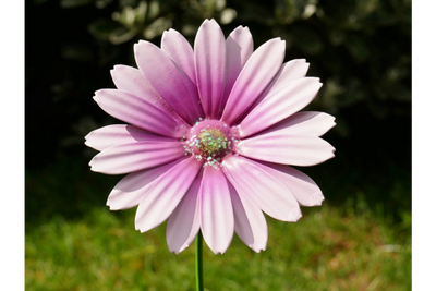 Set of 6 Metal Flower Garden Stakes – Colourful Garden Decorations