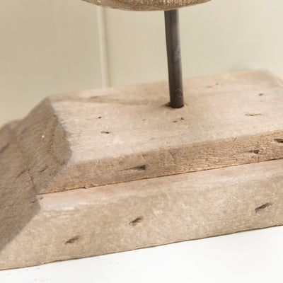 Large Nautical Driftwood Seahorse on Wooden Plinth