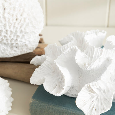 White Coral Ornament - Coastal Decor for Nautical Interiors