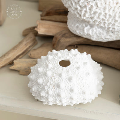 White Coral Ornament - Coastal Decor for Nautical Interiors