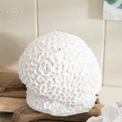 White Coral Ornament - Coastal Decor for Nautical Interiors