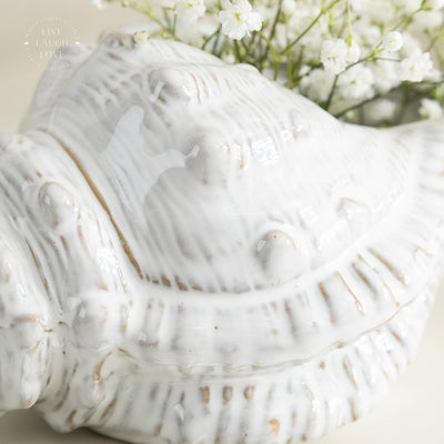 White Ceramic Conch Vase - Coastal Nautical Home Decor