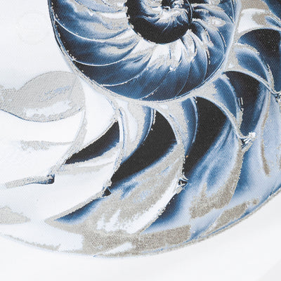 Coastal Framed Nautical Wall Art - Shell, Starfish & Nautilus Prints