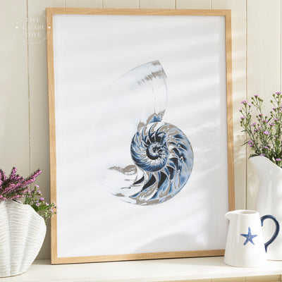 Coastal Framed Nautical Wall Art - Shell, Starfish & Nautilus Prints