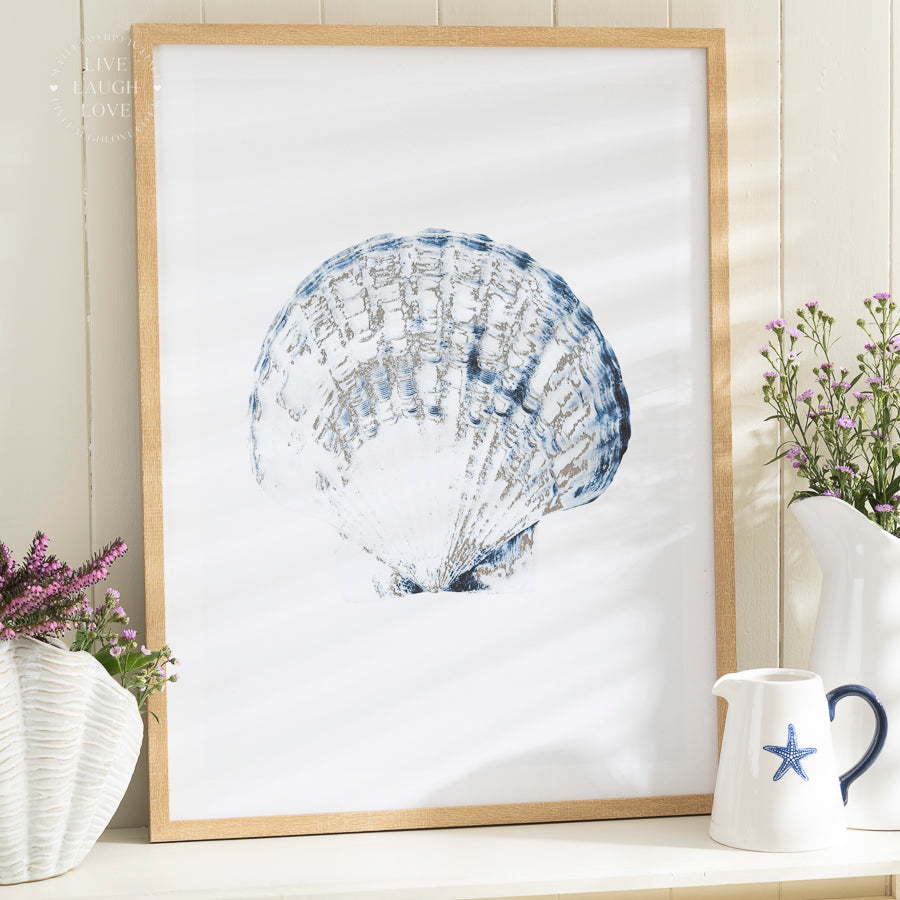 Coastal Framed Nautical Wall Art - Shell, Starfish & Nautilus Prints