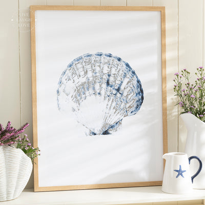 Coastal Framed Nautical Wall Art - Shell, Starfish & Nautilus Prints