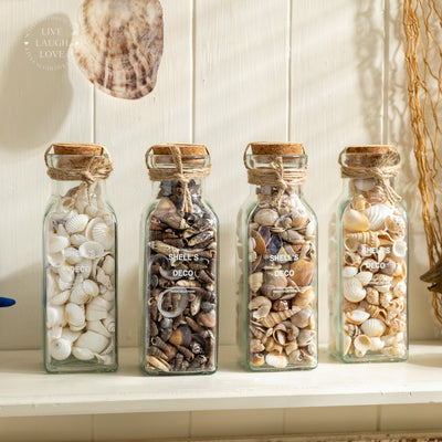 Glass Bottle with Decorative Shells and Cork