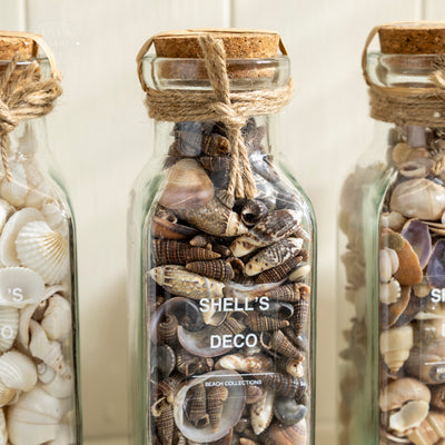 Glass Bottle with Decorative Shells and Cork