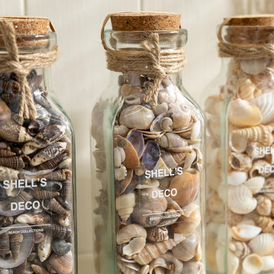 Glass Bottle with Decorative Shells and Cork