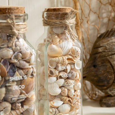 Glass Bottle with Decorative Shells and Cork