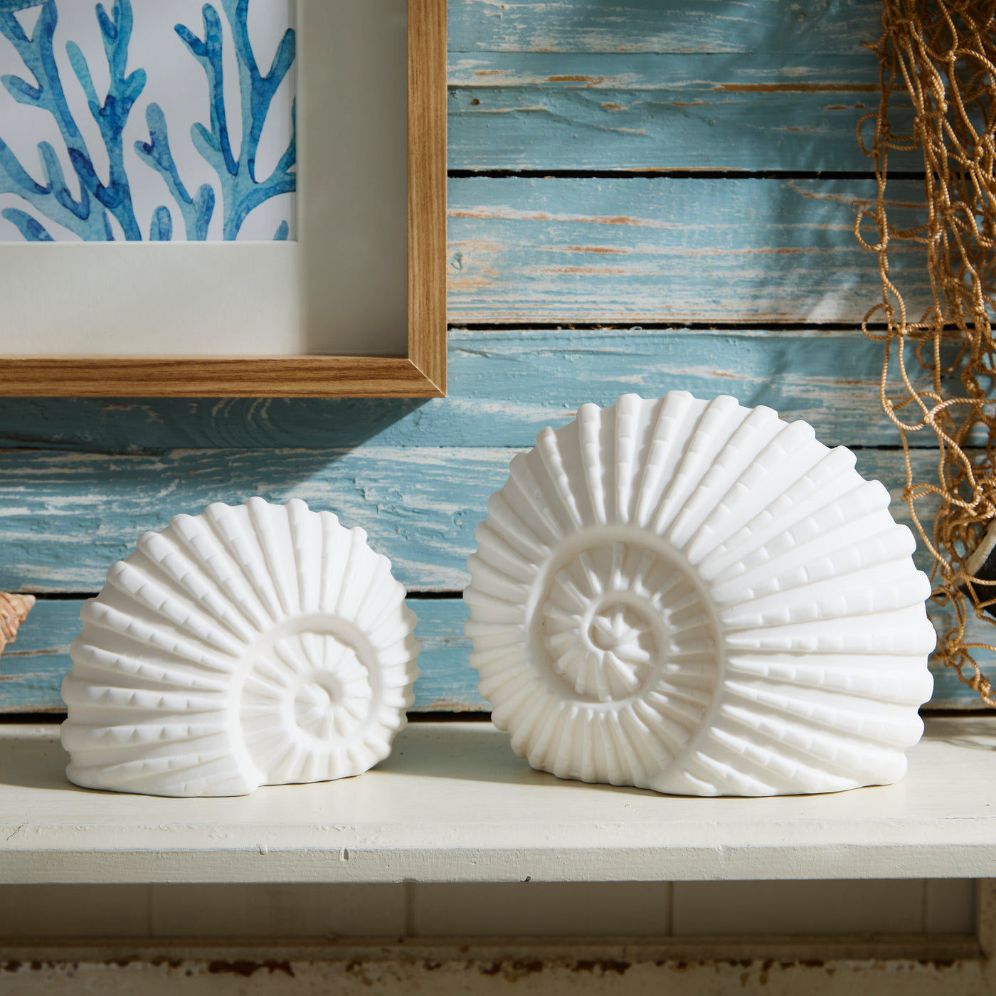 Porcelain Ammonite Shell LED Light White Nautical Decor