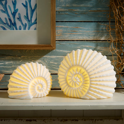 Porcelain Ammonite Shell LED Light White Nautical Decor