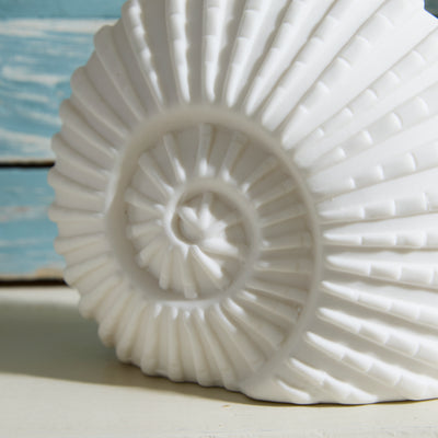 Porcelain Ammonite Shell LED Light White Nautical Decor