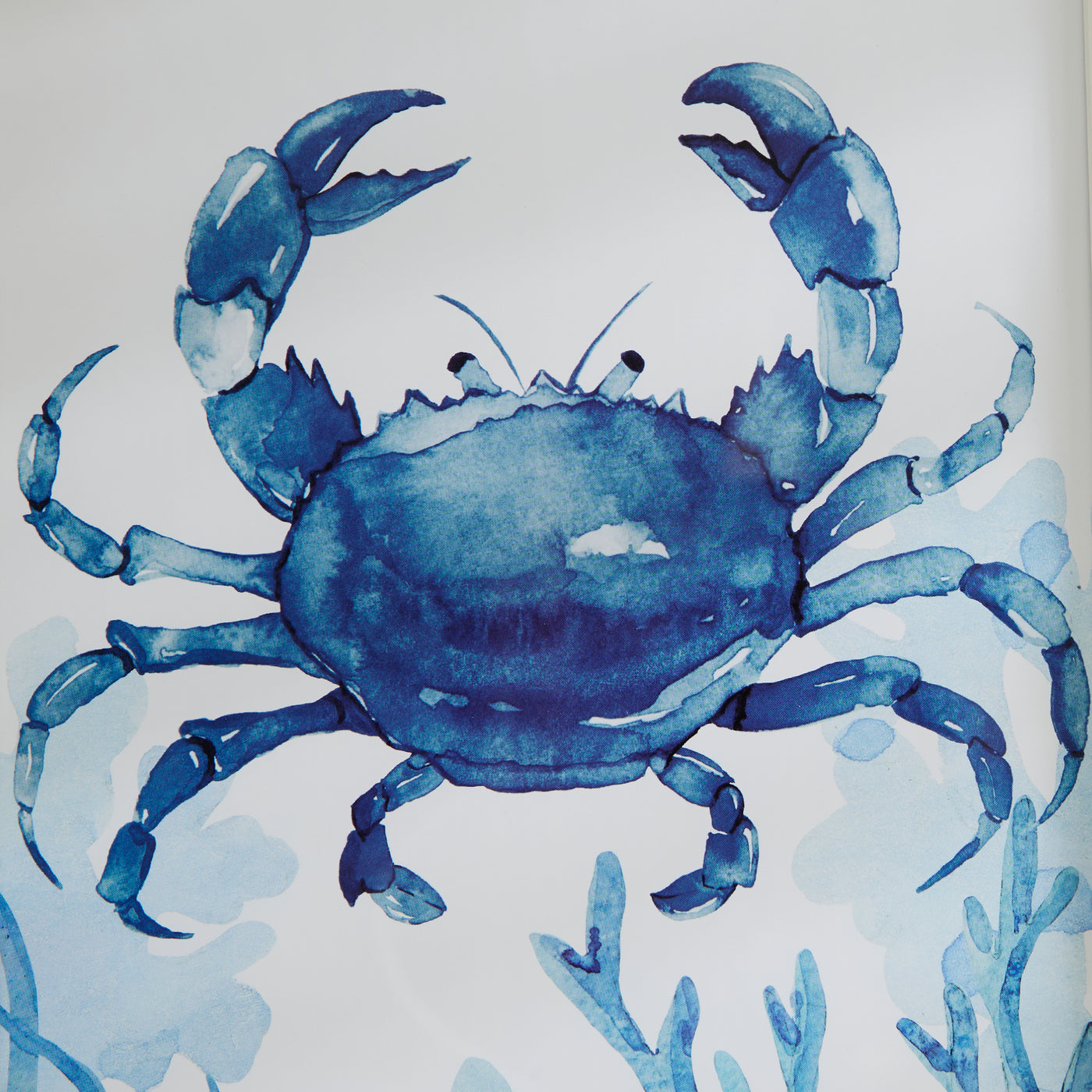 Set of 3 Framed Coastal Sea Life Prints – Lobster, Crab & Octopus