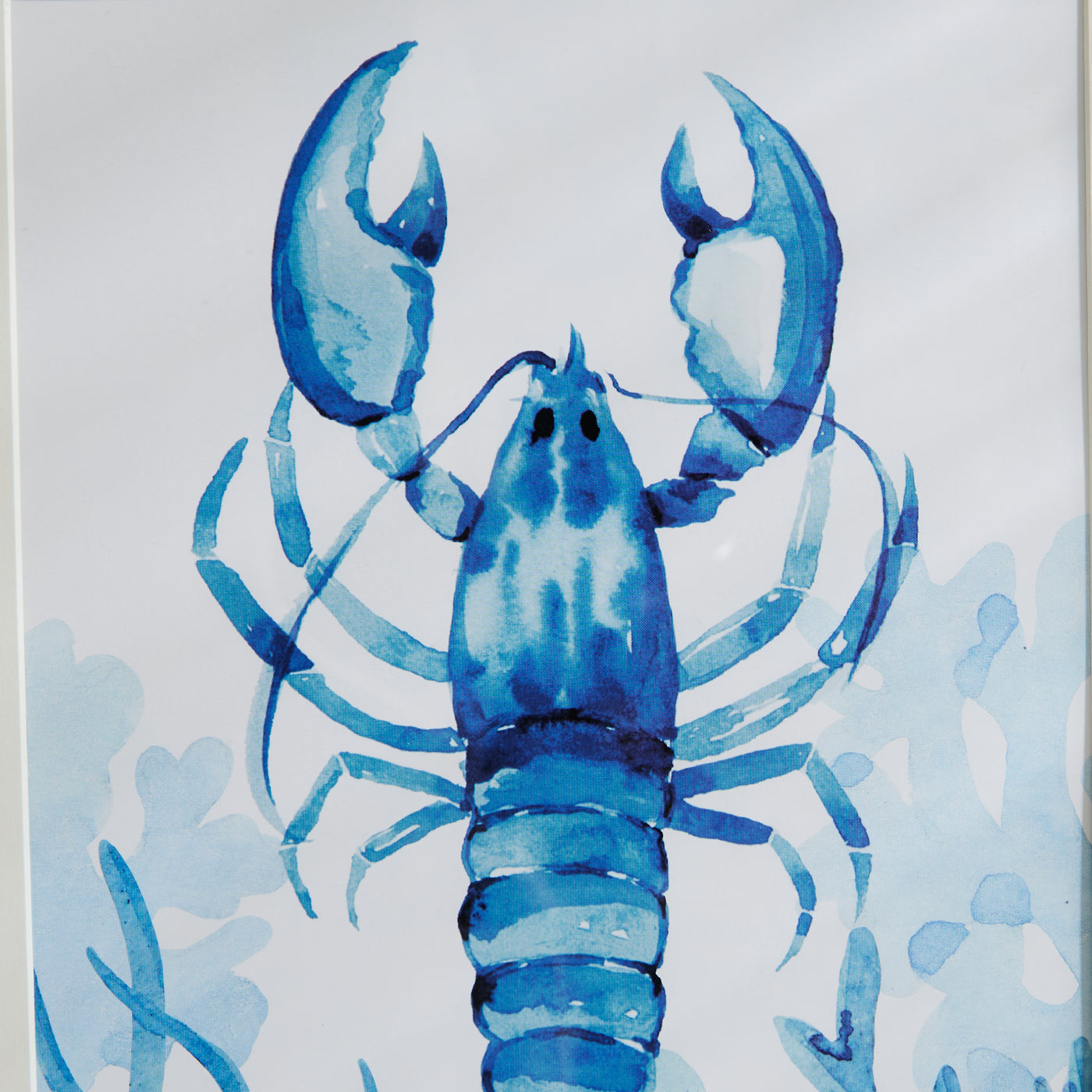 Set of 3 Framed Coastal Sea Life Prints – Lobster, Crab & Octopus