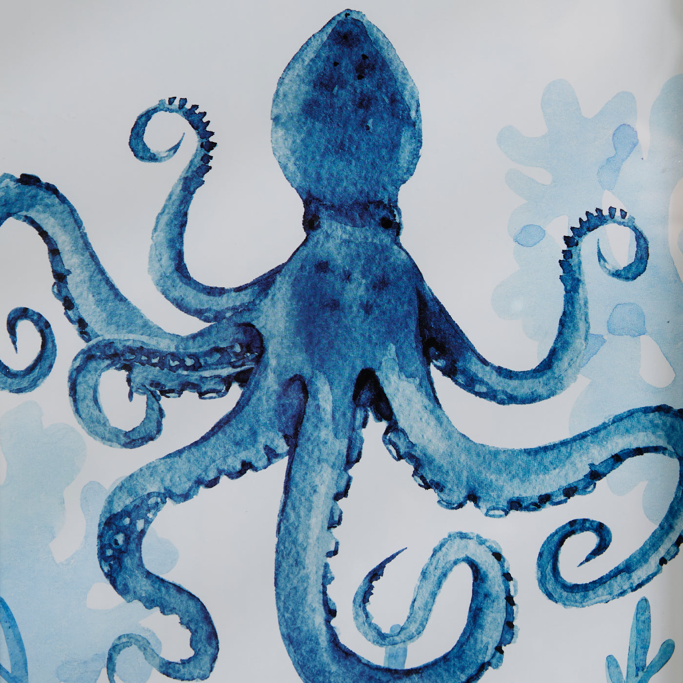 Set of 3 Framed Coastal Sea Life Prints – Lobster, Crab & Octopus