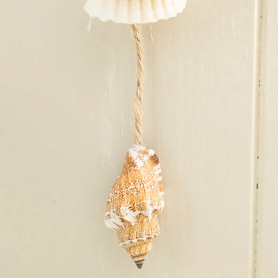 Nautical Wooden Wall Hanger with Fish/Anchor and Shells