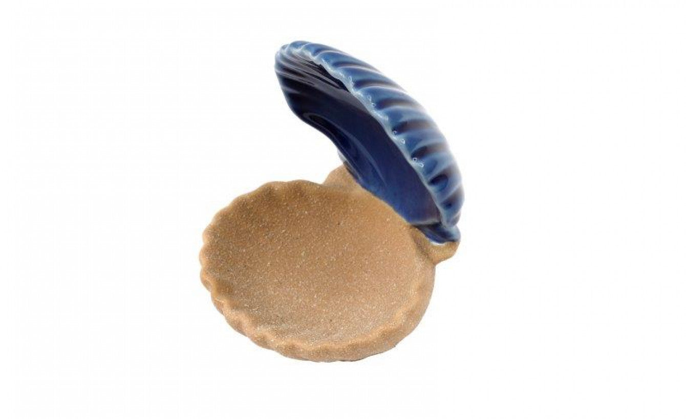 Dual-Colour Porcelain Clam Shell Trinket Dish – Coastal Decor