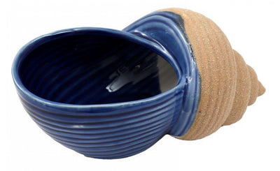 Dual-Colour Porcelain Shell Pot – Coastal Decorative Bowl