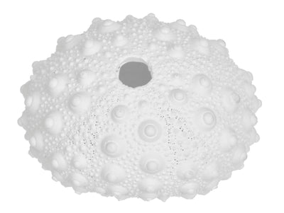 White Coral Reef Coastal Ornament