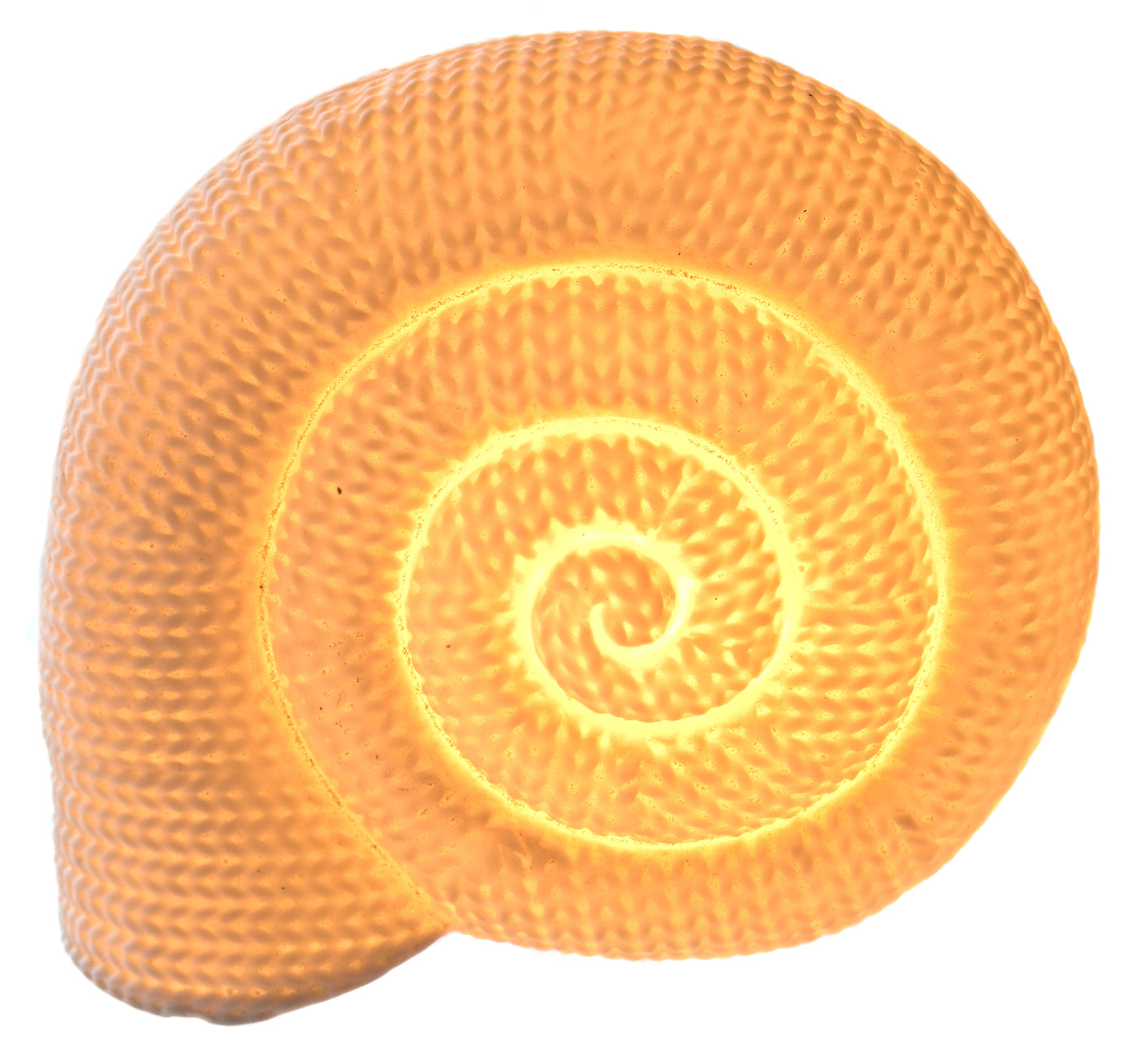 Porcelain LED Shell Light – Textured White Nautical Ornament
