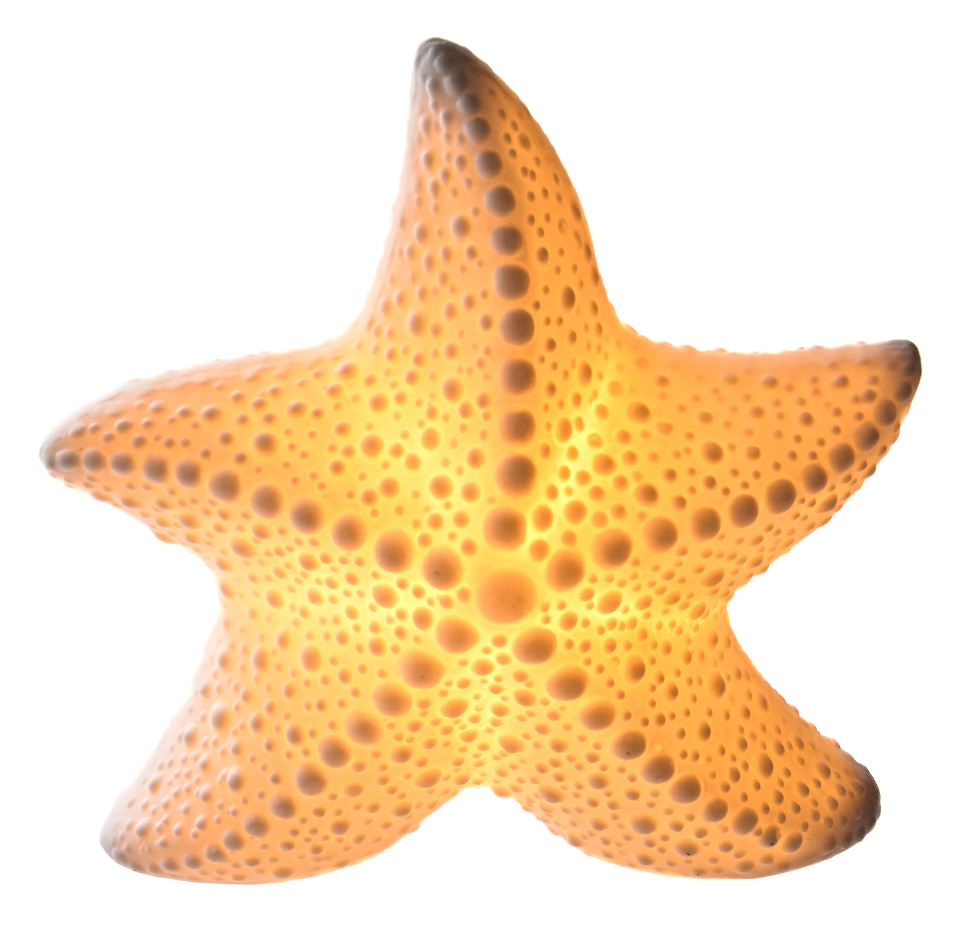 Porcelain LED Starfish Light – White Coastal Night Light Ornament