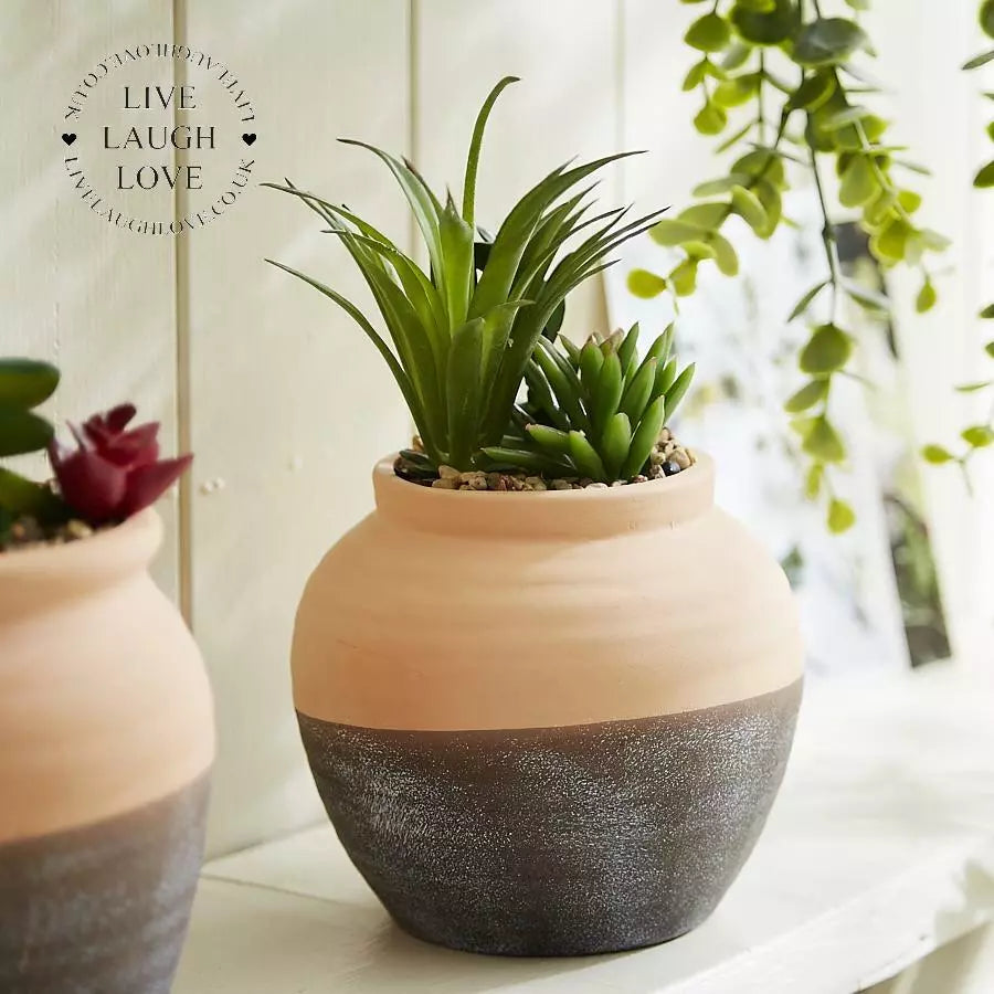 Terracotta Succulent Faux Flower Pot 2 Styles Available