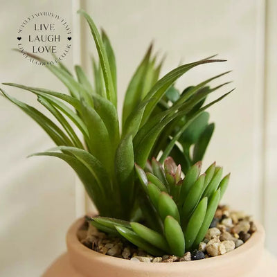 Terracotta Succulent Faux Flower Pot 2 Styles Available
