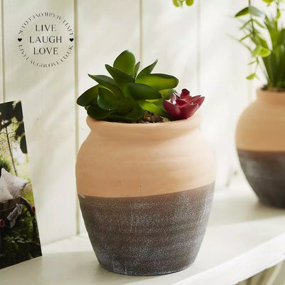 Terracotta Succulent Faux Flower Pot 2 Styles Available