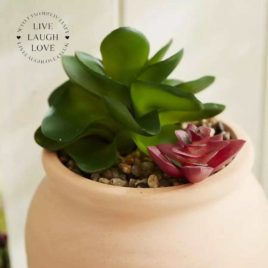 Terracotta Succulent Faux Flower Pot 2 Styles Available