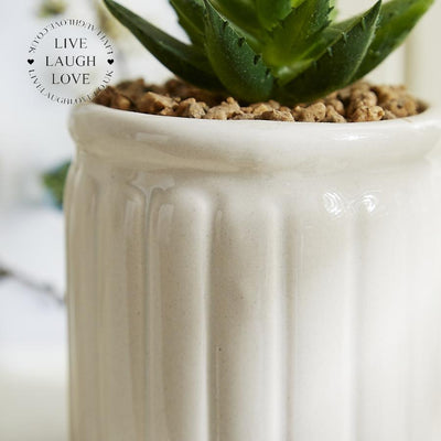 12cm Succulent In Ceramic Pot - White & Green - LIVE LAUGH LOVE LIMITED