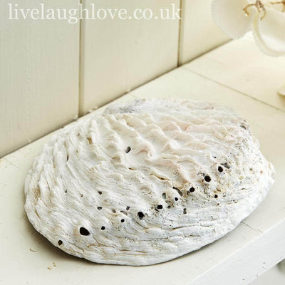 Abalone Shell Trinket & Soap Dish - LIVE LAUGH LOVE LIMITED