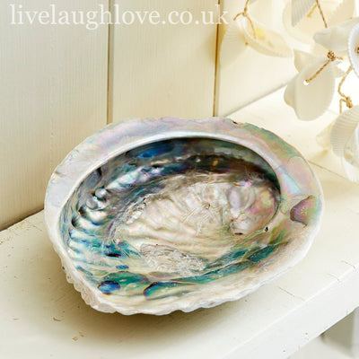 Abalone Shell Trinket & Soap Dish - LIVE LAUGH LOVE LIMITED