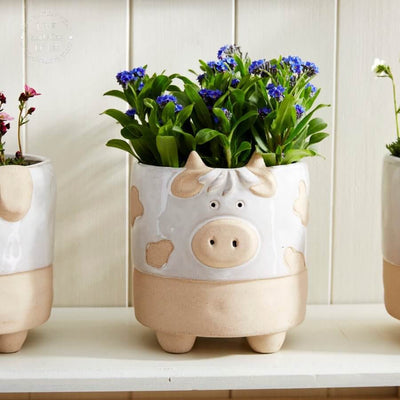 Country Ceramic Farmyard Animal Vase or Planter (Cow/Pig/Chicken) - 12.5cm - LIVE LAUGH LOVE LIMITED