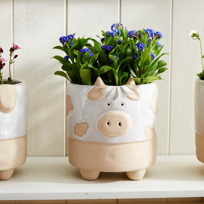 Country Ceramic Farmyard Animal Vase or Planter (Cow/Pig/Chicken) - 14.5cm - LIVE LAUGH LOVE LIMITED