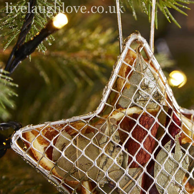 Fruit Silver Mesh Star 10CM - LIVE LAUGH LOVE LIMITED