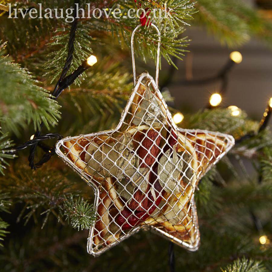 Fruit Silver Mesh Star 10CM - LIVE LAUGH LOVE LIMITED