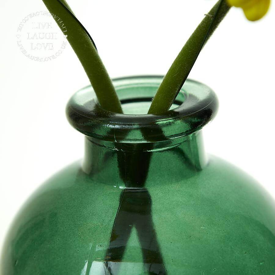 Green Glass Bottle Vases - LIVE LAUGH LOVE LIMITED