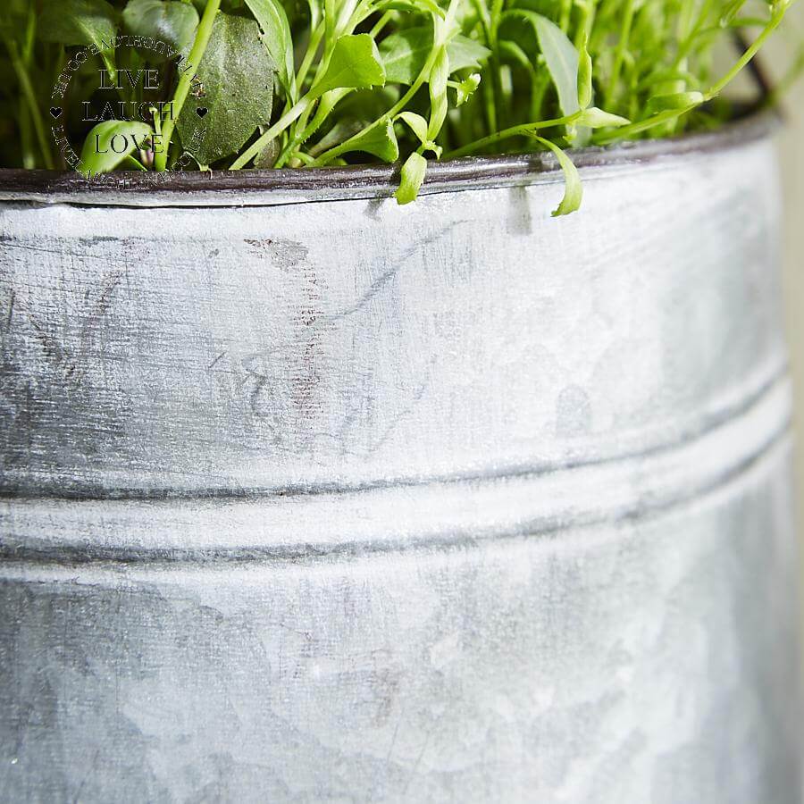 Hanging Watering Can Planter - LIVE LAUGH LOVE LIMITED