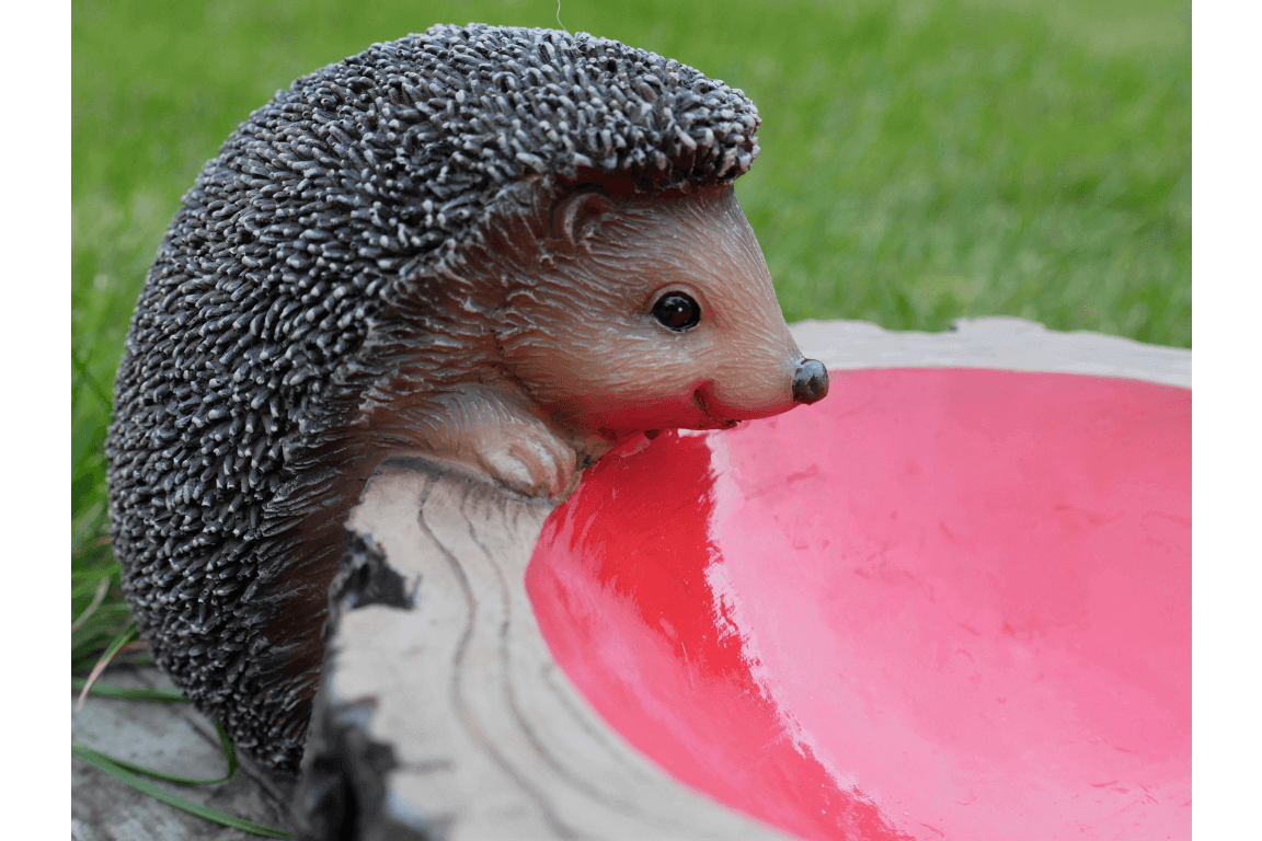Hedgehog Feeder - LIVE LAUGH LOVE LIMITED