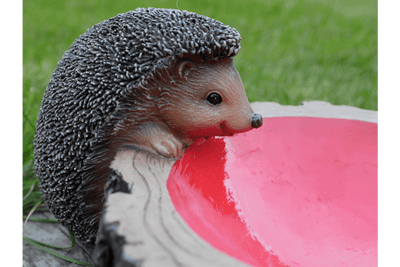Hedgehog Feeder - LIVE LAUGH LOVE LIMITED