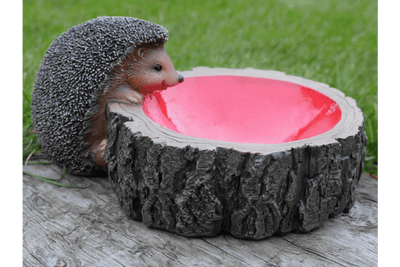 Hedgehog Feeder - LIVE LAUGH LOVE LIMITED