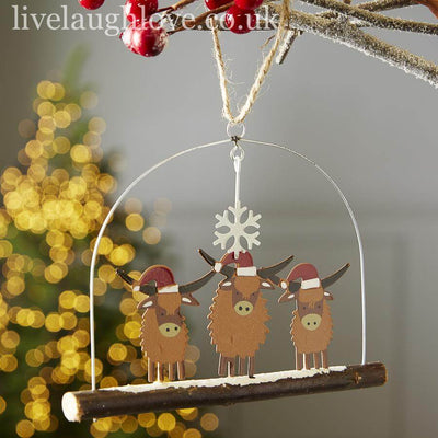 Highland Coos In Hats - LIVE LAUGH LOVE LIMITED